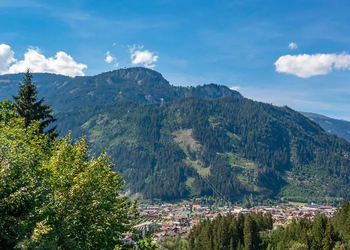 Appartement Alpendomizil Ahorn Mayrhofen